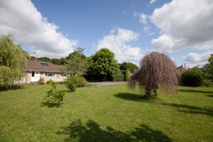 Front Garden- click for photo gallery